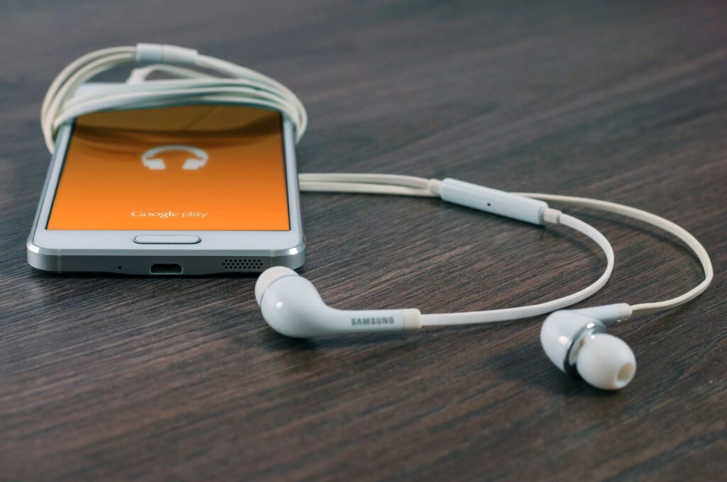 you cant find  good quality  earphone here